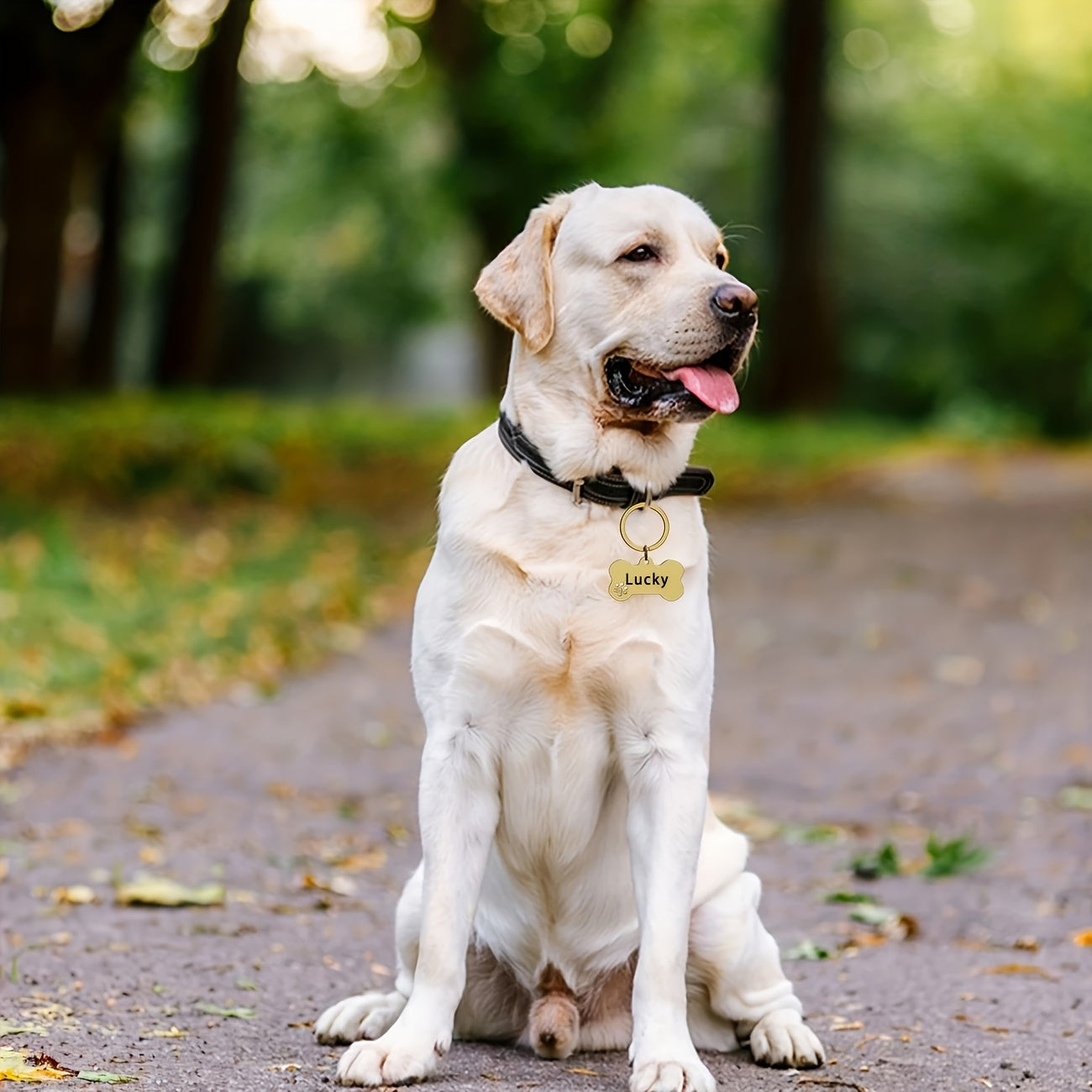 1pc, Custom Stainless Steel Dog Tag Pendant That Can Be Engraved with Your Pet'S Name, Phone Number, And ID. Available in Multiple Colors, This Durable Anti-Loss Pet Tag Is Perfect for Identification