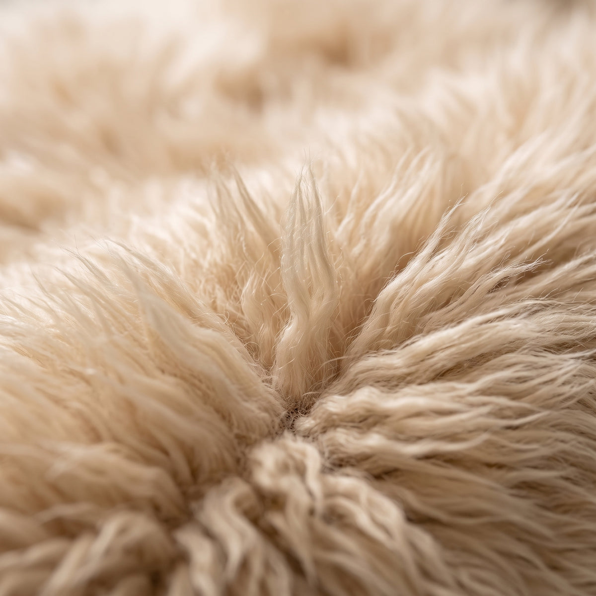 Genuine Champagne Sheepskin Rug – Multi-Pelt Shaggy Wool Area Rug