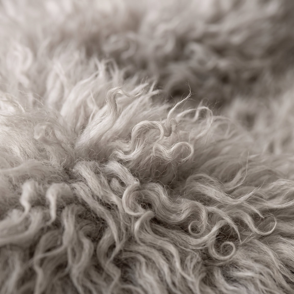 Genuine Ivory Sheepskin Rug – Multi-Pelt Shaggy Wool Area Rug