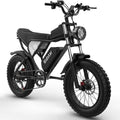 Ridstar Electric Bike 1500W for Adults – 20" Fat Tires, 48V 20Ah Battery, 7-Speed Mountain eBike