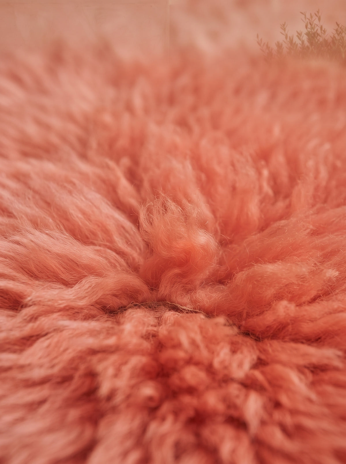 Genuine Coral Pink Sheepskin Rug – Quad-Pelt Shaggy Wool Area Rug