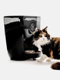 Smart Automatic Pet Feeder with App Control & Portion Scheduling